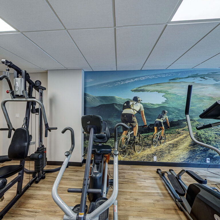 Gym - Les Verrières du Golf - Le Groupe Maurice